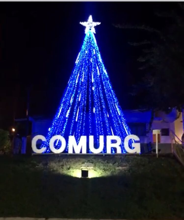 Instalação de decoração natalina avança em diversos pontos da capital –  Prefeitura de Goiânia