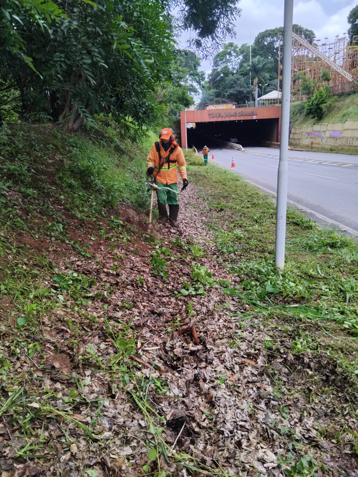 Prefeitura de Goiânia realiza retirada de mato alto nos viadutos e na Marginal Botafogo para prevenir danos das chuvas