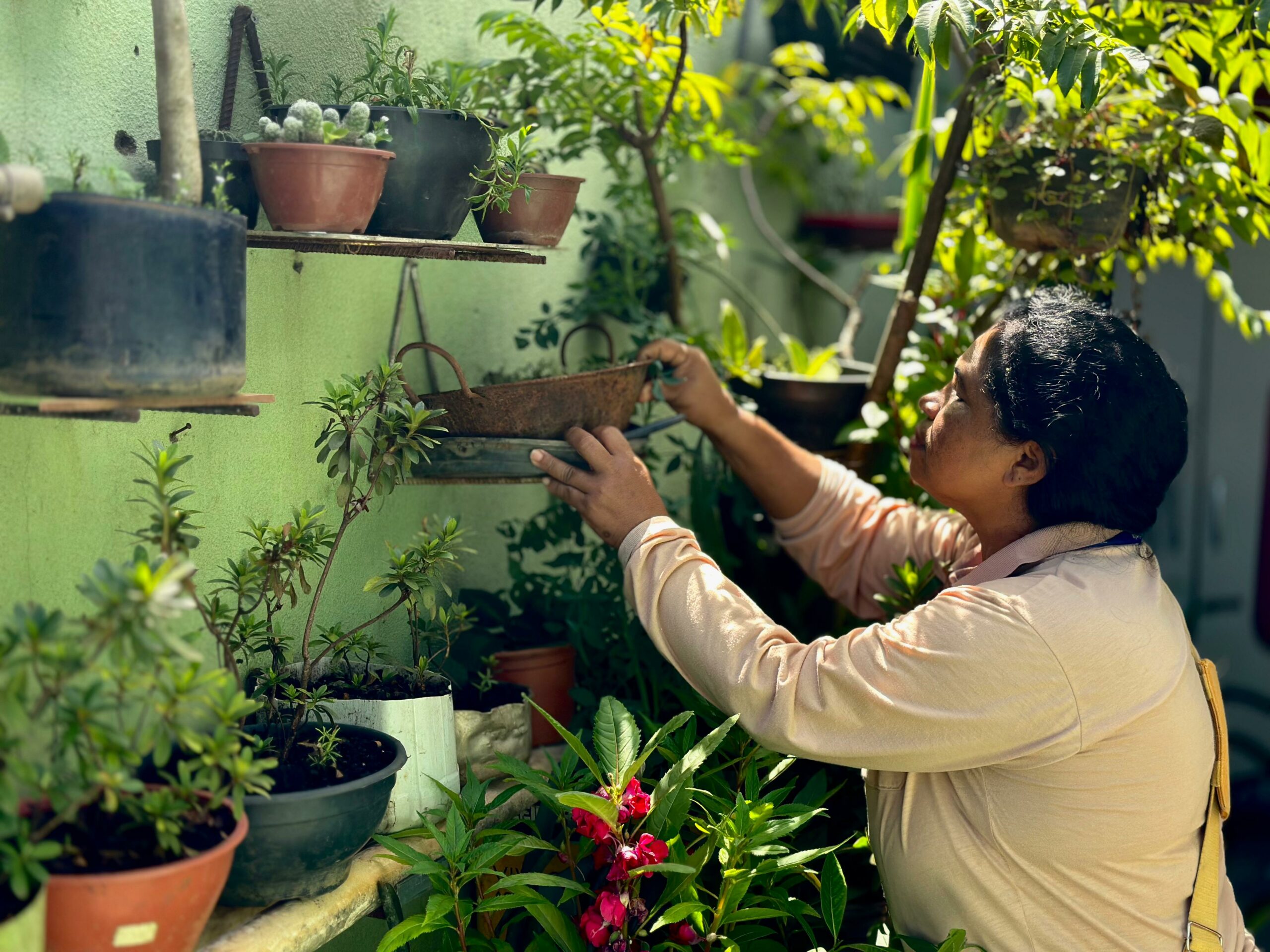 Combate à dengue: mutirão dos 100 dias visita mais de 7 mil casas para eliminação de focos do Aedes aegypti