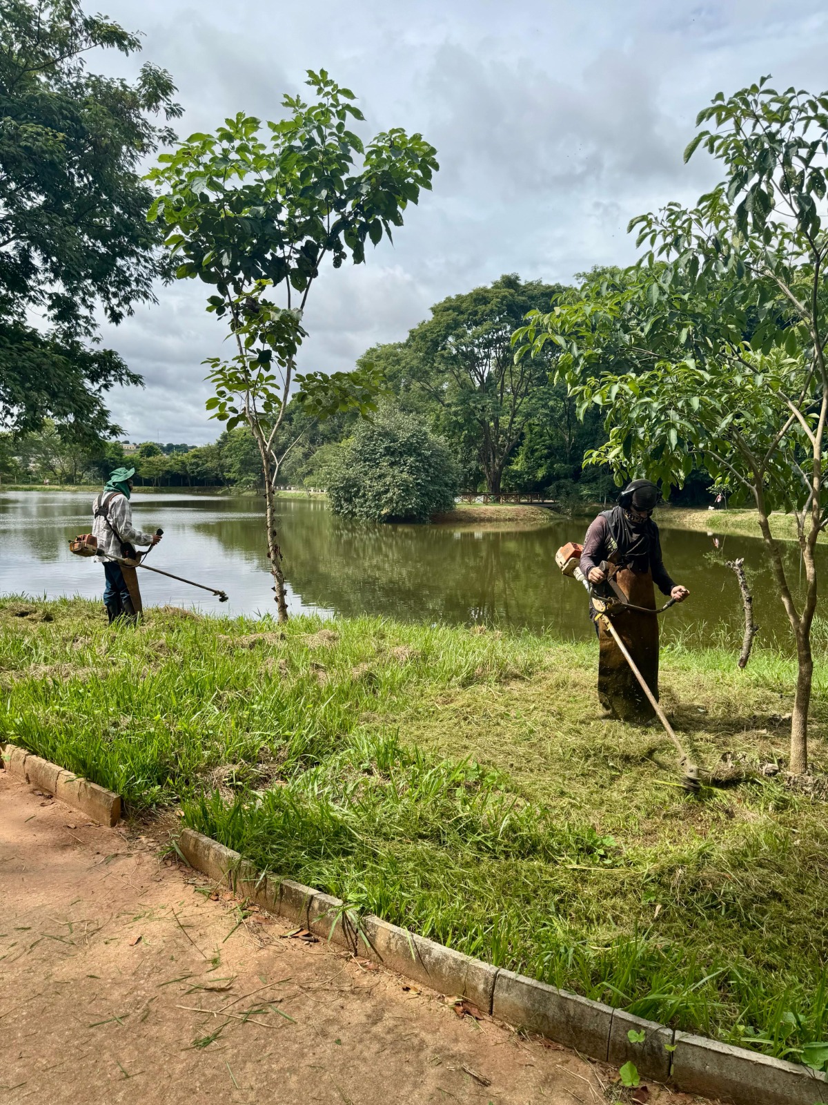 Prefeitura de Goiânia revitalizou 48 parques e notificou mais de 600 donos de lotes em janeiro