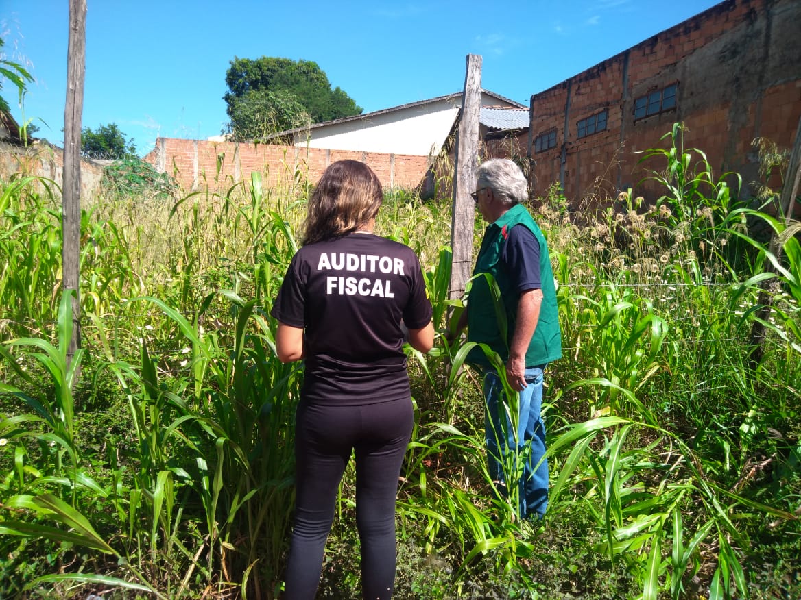 Goiânia Implementa Novo Modelo Eficiente para Limpeza de Lotes Baldios e Melhora Saúde Pública na Cidade