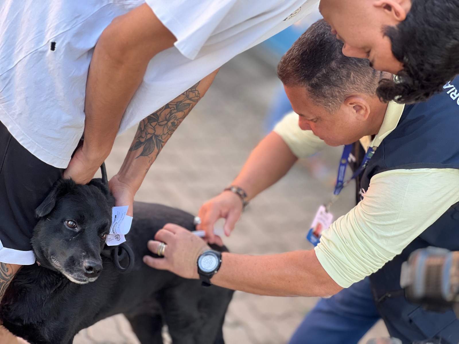 Goiânia inicia vacinação antirrábica permanente em 10 locais para cães e gatos