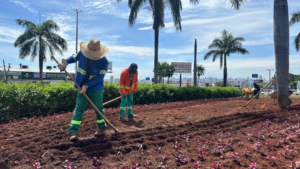 Comurg planeja plantar 76,8 mil mudas em praças e vias de Goiânia até dezembro Comurg planeja plantar 76,8 mil mudas em praças e vias de Goiânia até dezembro