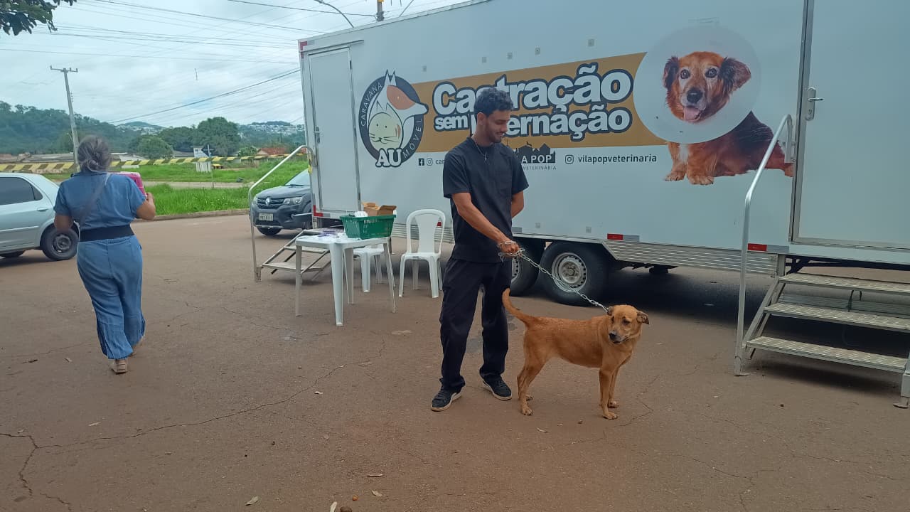 Prefeitura de Goiânia oferece castração gratuita de pets na região Oeste para controlar população animal Prefeitura de Goiânia oferece castração gratuita de pets na região Oeste para controlar população animal