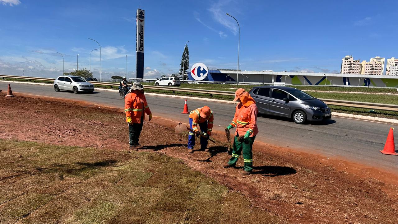 Comurg divulga revitalização paisagística na Avenida Deputado Jamel Cecílio em Goiânia