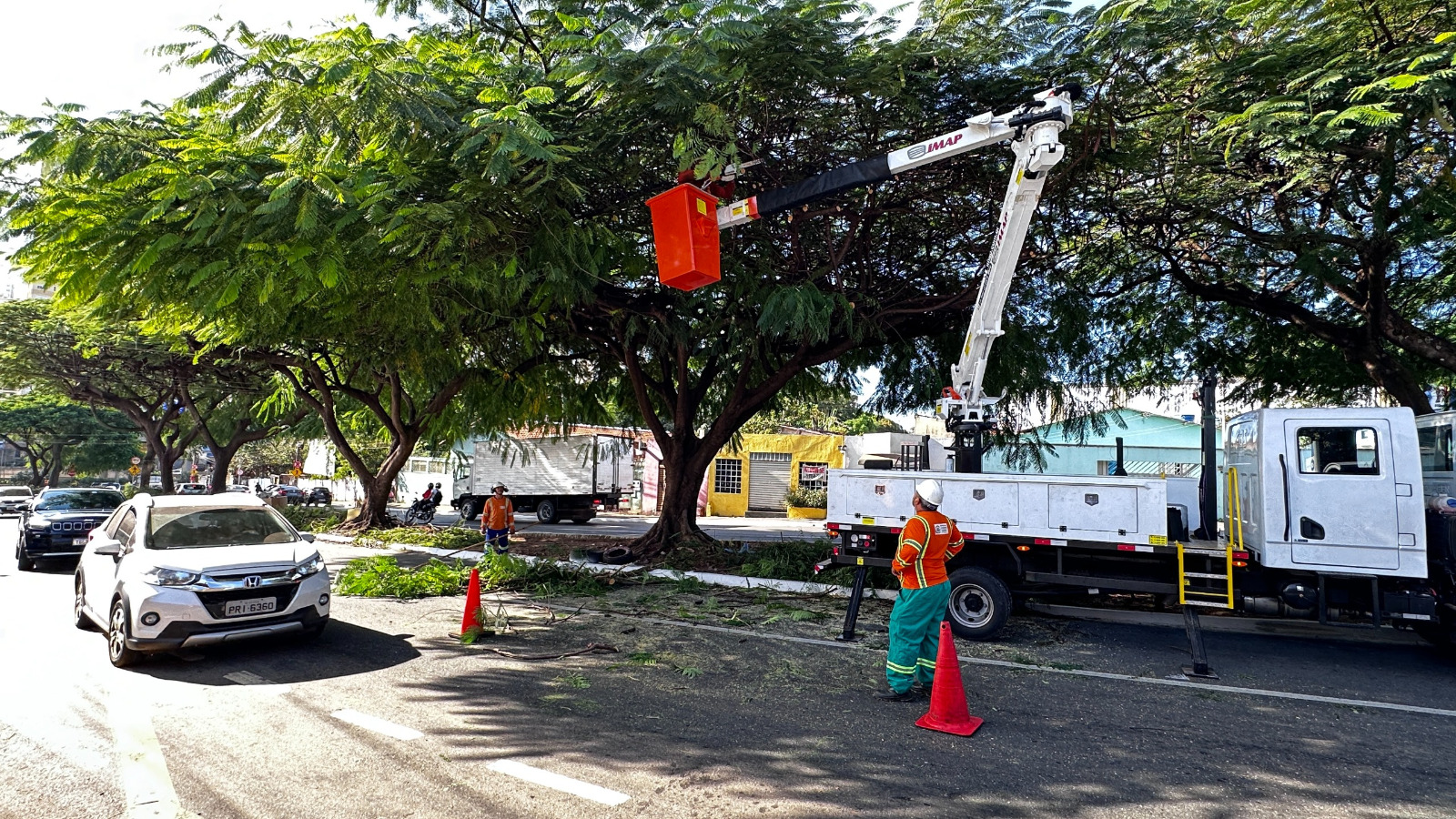 Amma e Comurg unificam equipes para otimizar manejo arbóreo em Goiânia e garantir saúde das árvores na cidade Amma e Comurg unificam equipes para otimizar manejo arbóreo em Goiânia e garantir saúde das árvores na cidade