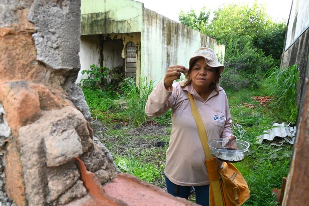 Goiânia atinge 60% da meta de vistoria em 2,5 milhões de casas para combate à dengue até 2026 Goiânia atinge 60% da meta de vistoria em 2,5 milhões de casas para combate à dengue até 2026